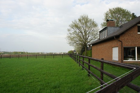 dansweiler