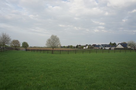 dansweiler