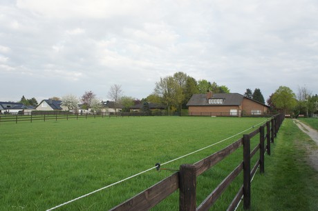 dansweiler