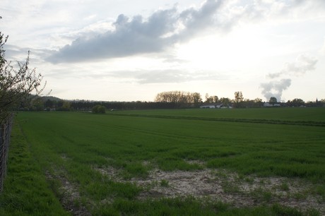 dansweiler
