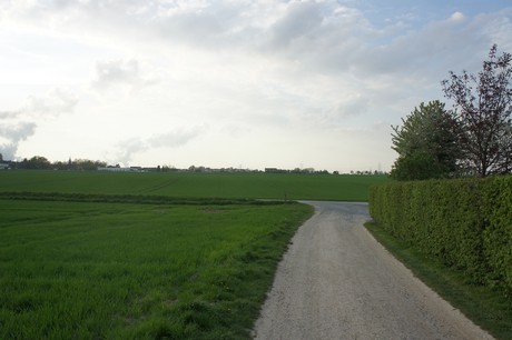 dansweiler