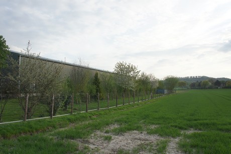 dansweiler