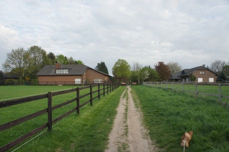 dansweiler