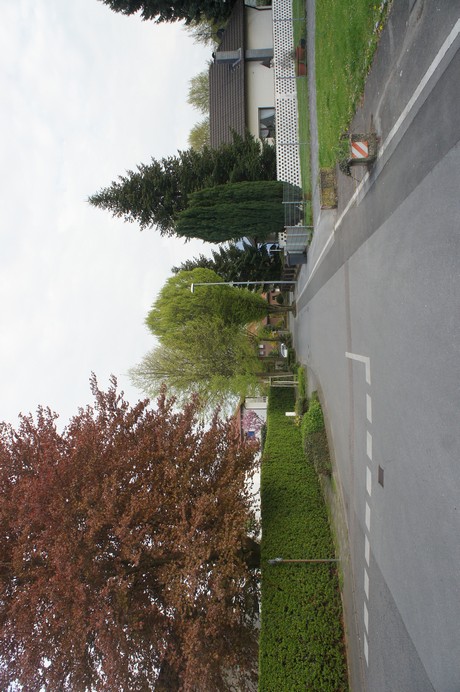 dansweiler