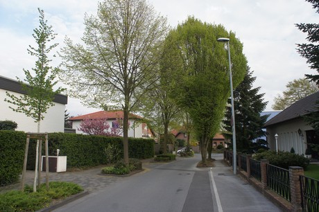 dansweiler