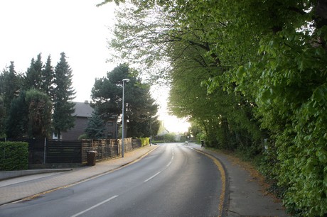 dansweiler
