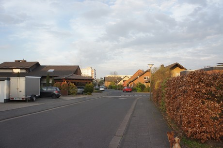 dansweiler
