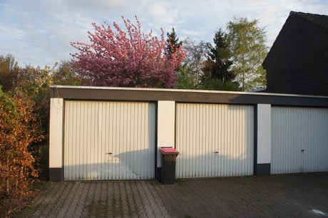 dansweiler