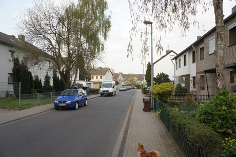 dansweiler