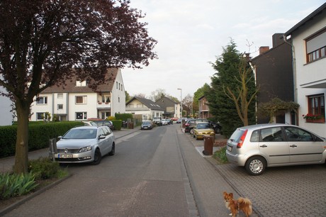 dansweiler