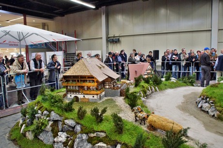 intermodellbau-2012