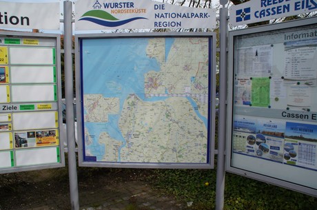 dorum