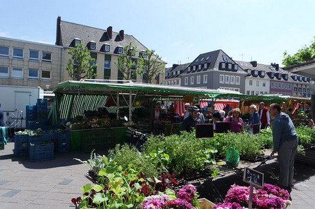 dueren