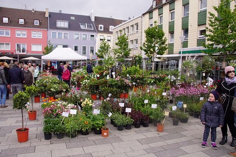 dueren