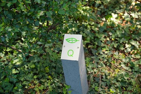 dueren