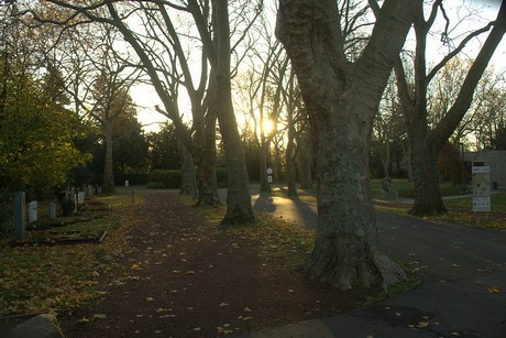 dueren