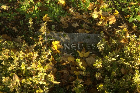 dueren