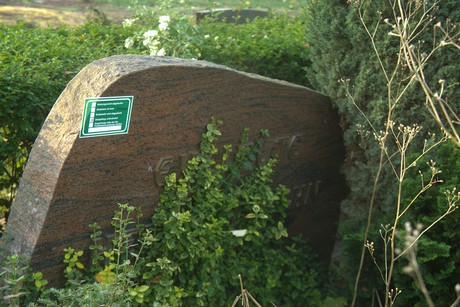 dueren