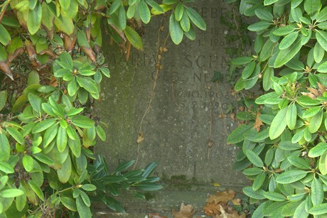 dueren