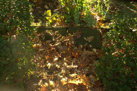 dueren