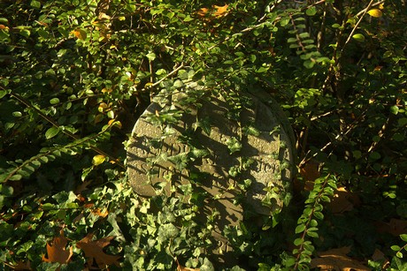 dueren