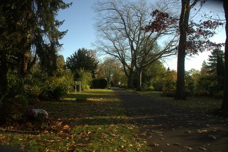 dueren