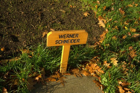 dueren