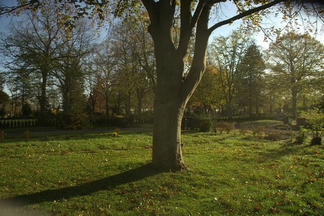 dueren