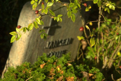 dueren