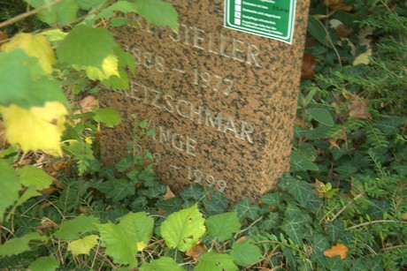 dueren