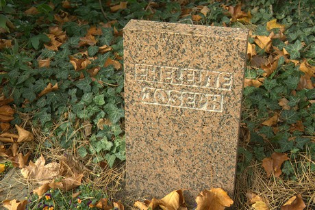 dueren