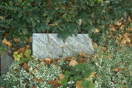 dueren