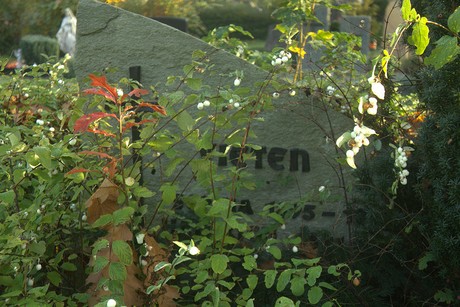 dueren
