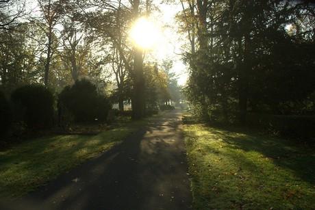 dueren