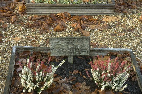 dueren