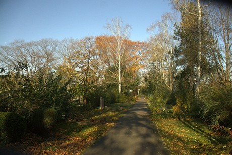 dueren