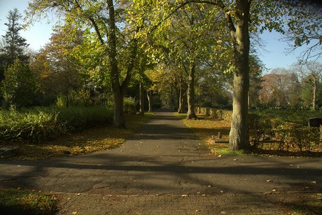 dueren