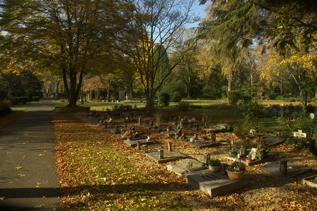 dueren