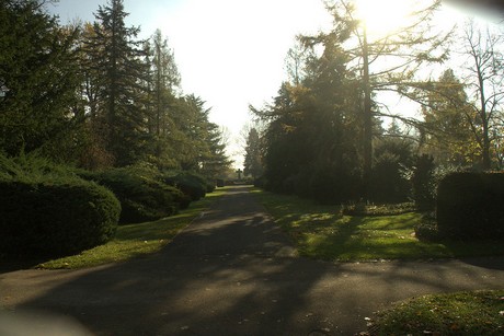 dueren