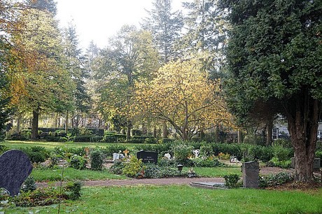 dueren