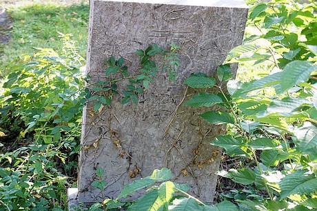 dueren