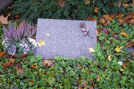 dueren