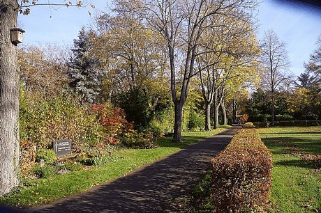 dueren