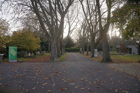 dueren
