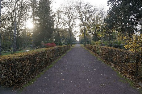 dueren