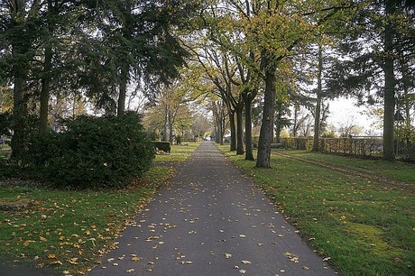 dueren