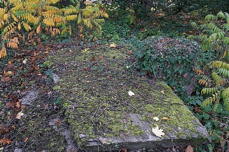 dueren