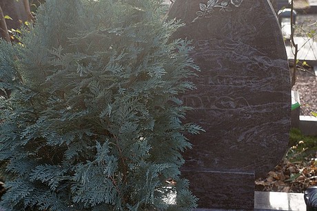dueren
