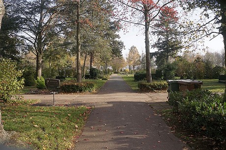 dueren