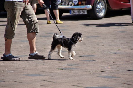 oldtimer-classics-dueren